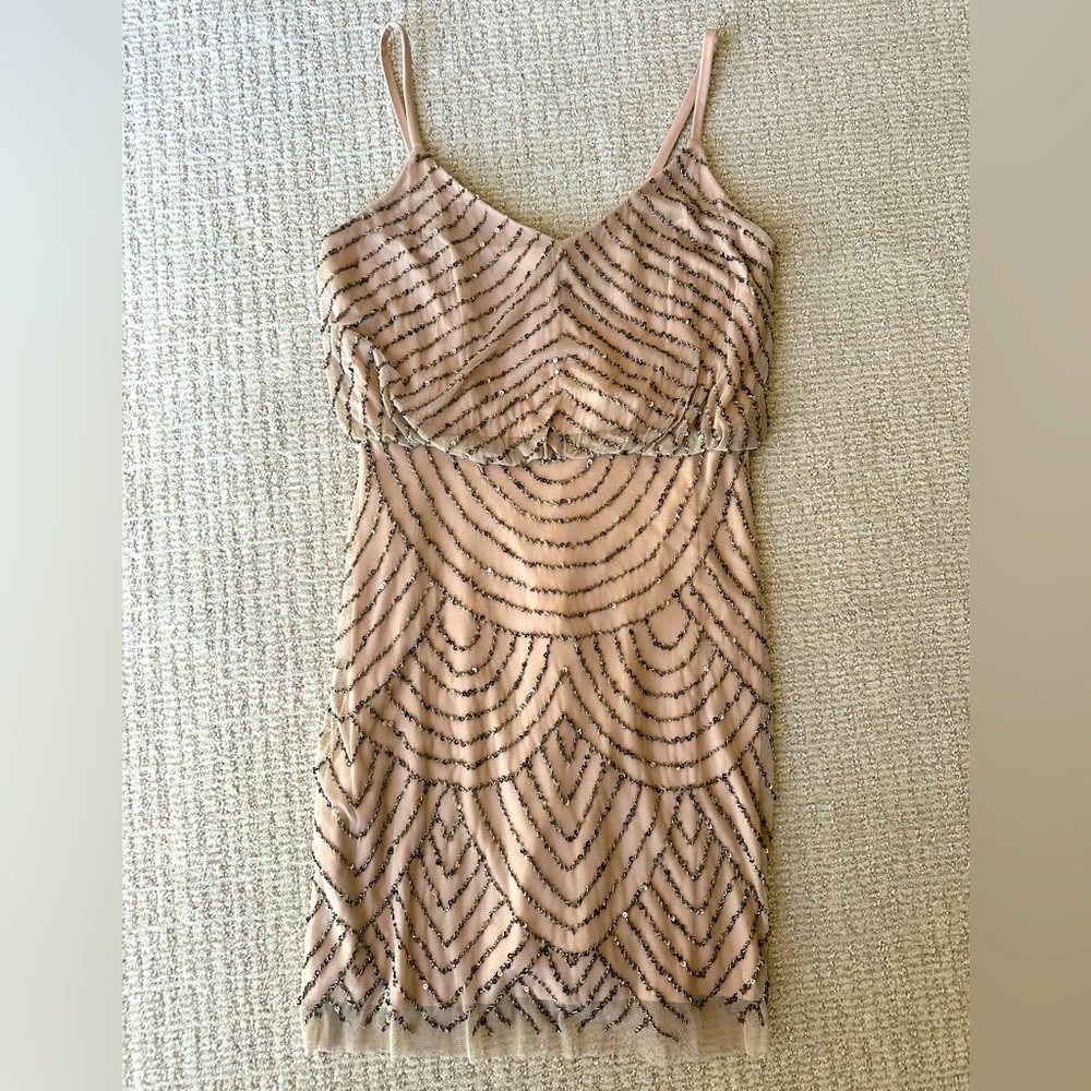 Adrianna Papell dress